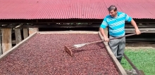 Estrategia Nacional para la Cadena de Cacao presenta sus avances y resultados en la transformación de la industria