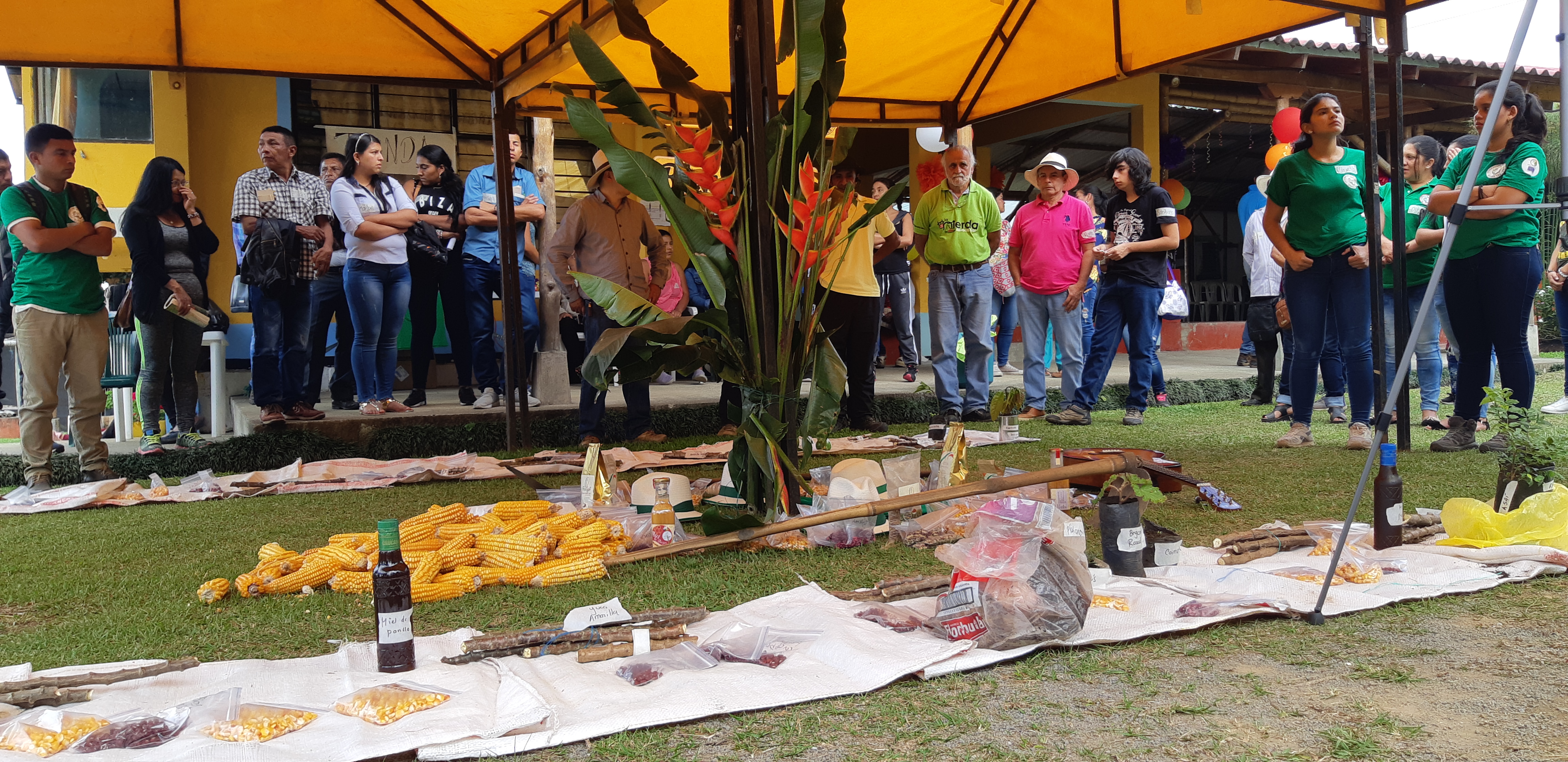 Foto: Federación campesina del Cauca