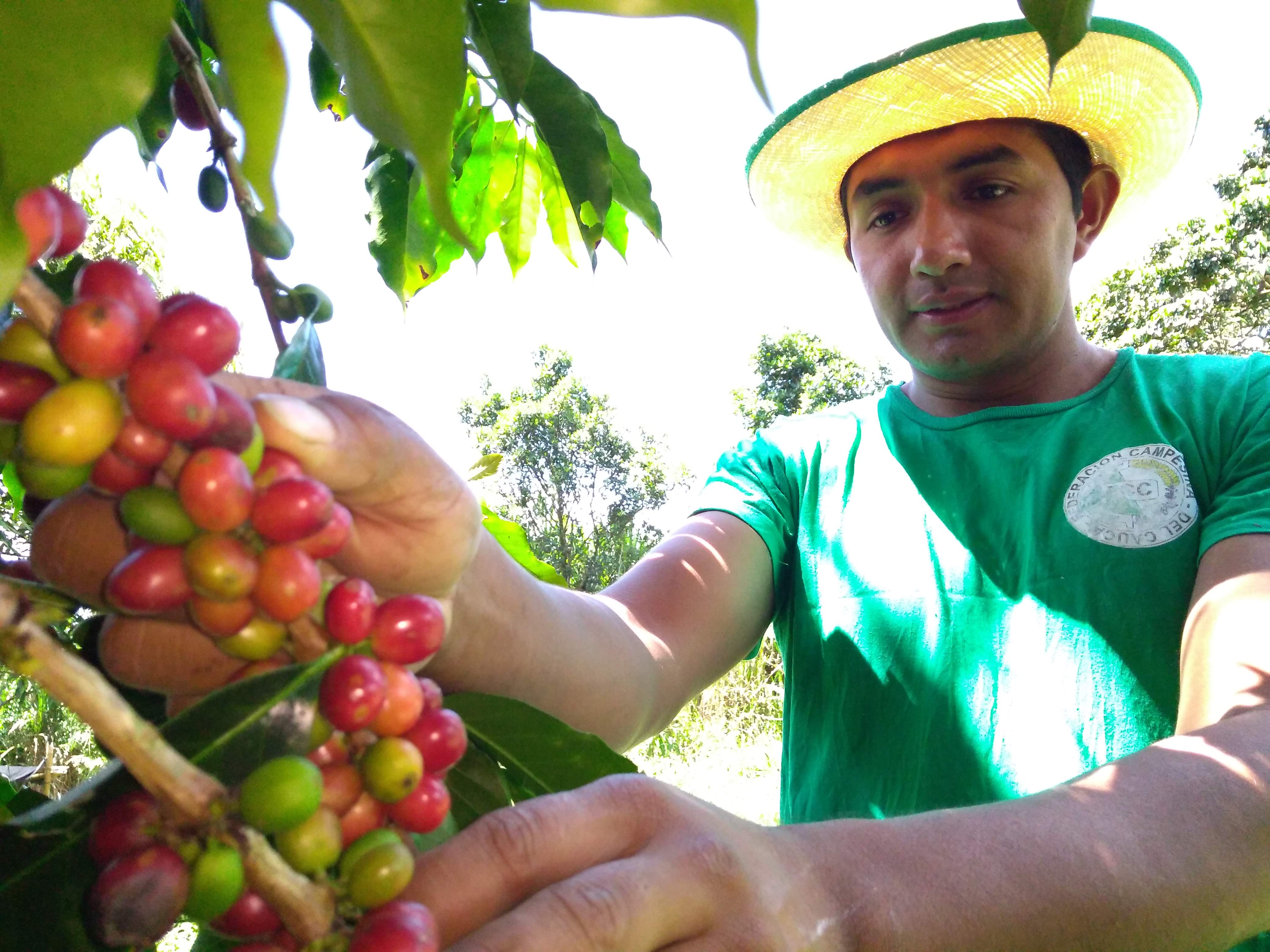 Foto: Federación campesina del Cauca