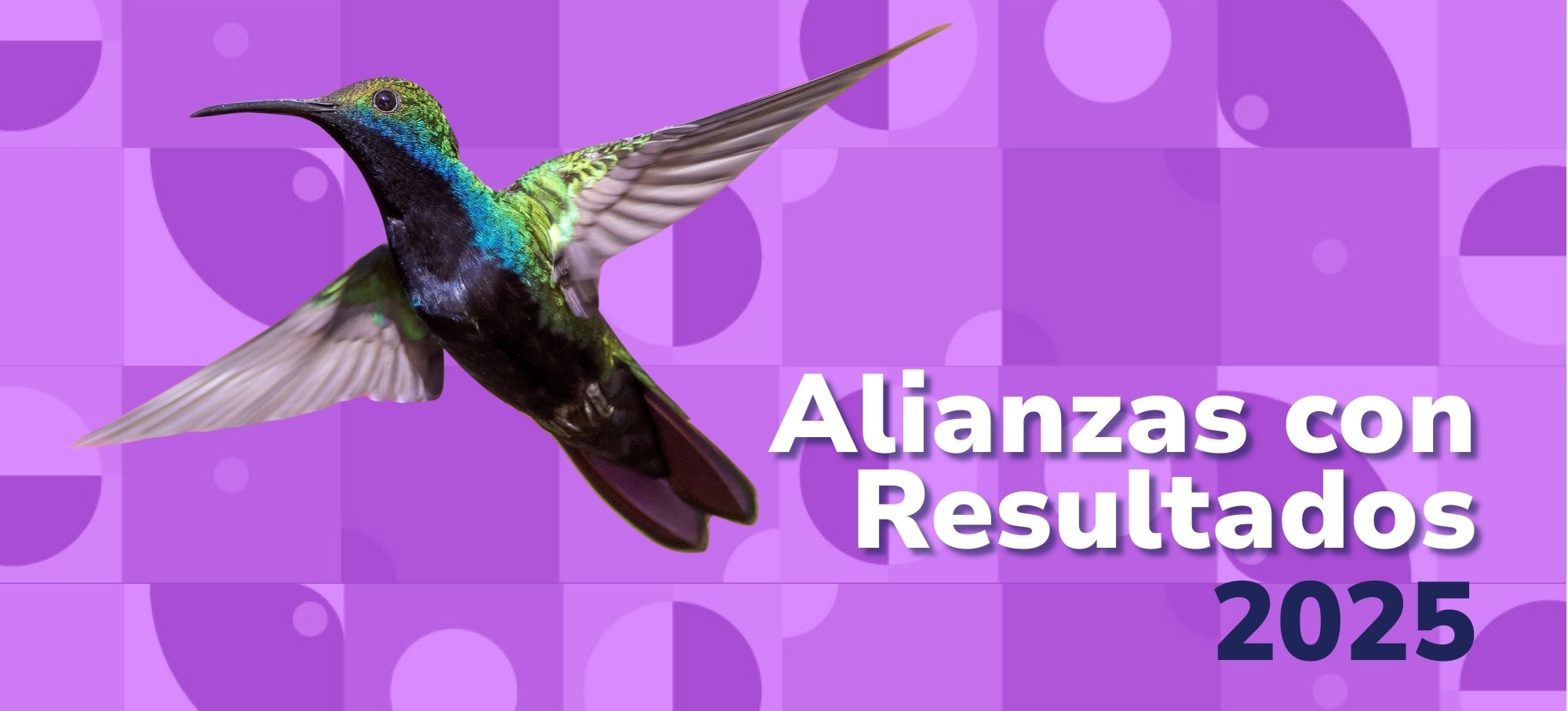 Tarjeta de invitación Alianzas