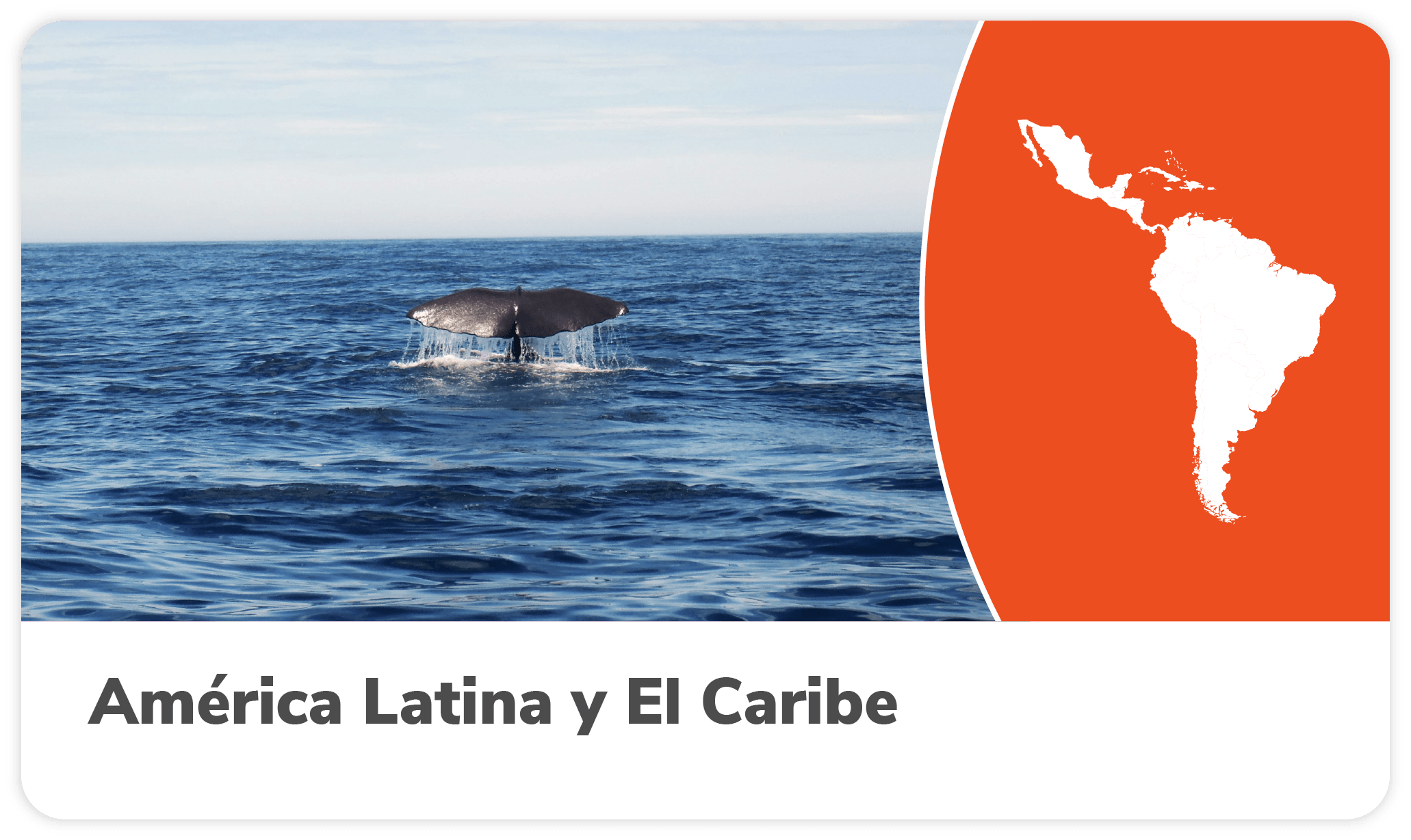 Fichas Am&eacute;rica Latina