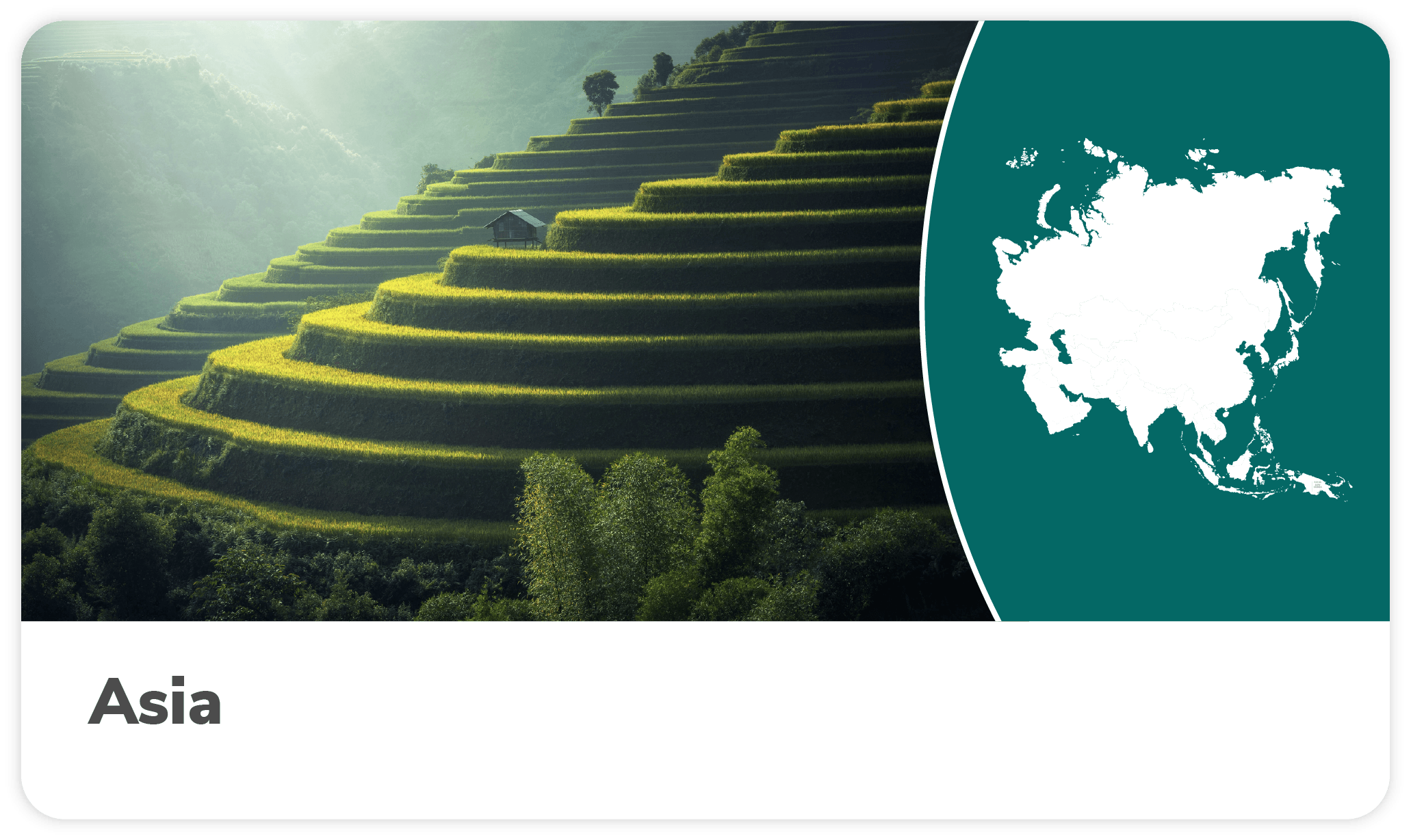 Fichas pa&iacute;s Asia