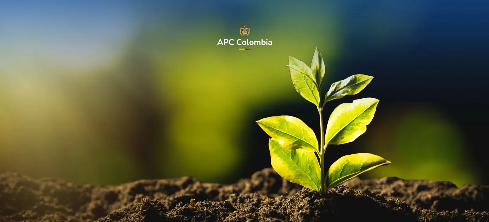 Una planta floreciendo de la tierra