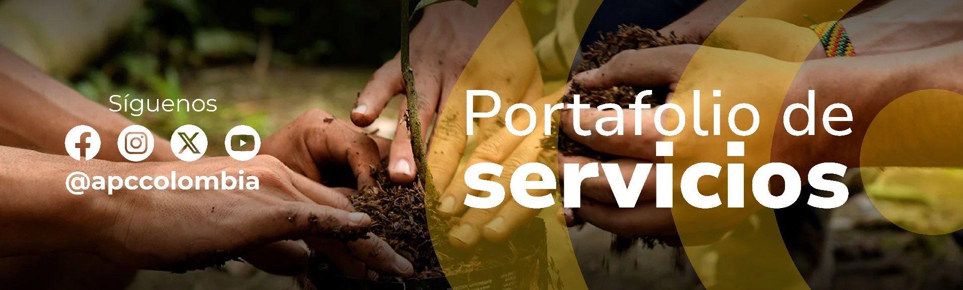 Portafolio de servicios