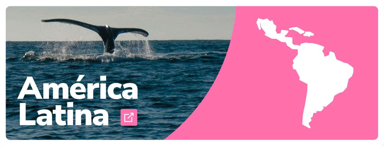 Fichas América Latina