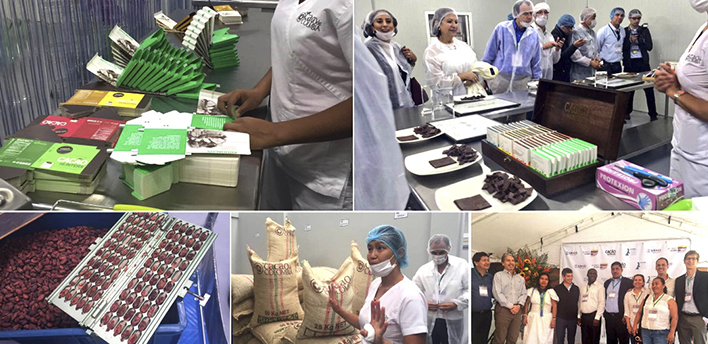 EE.UU. promueve inversión para la paz con Cacao de Colombia y Acumen