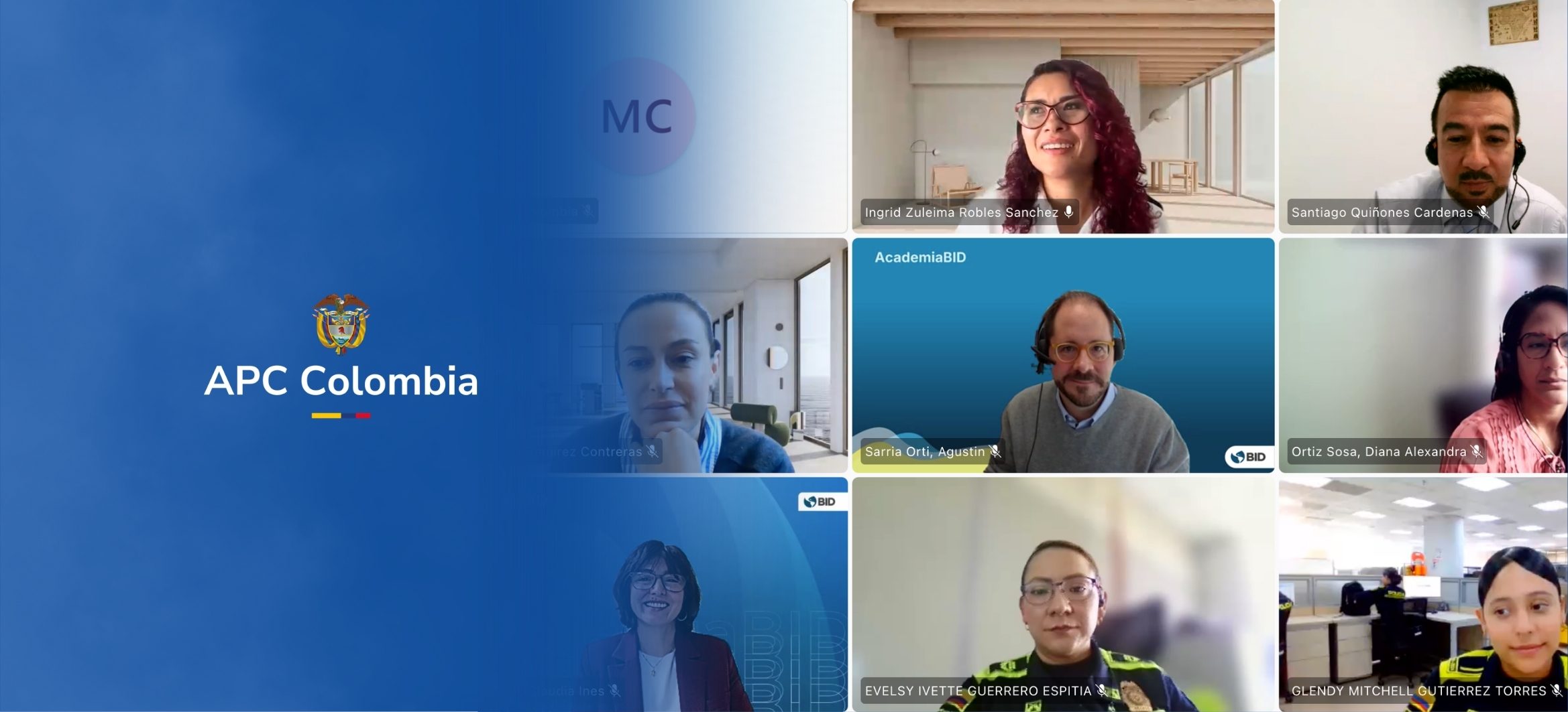 Pantallazo de una reunión virtual 