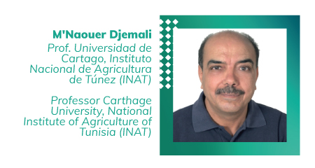 Fotografía M´Naouer Djemali