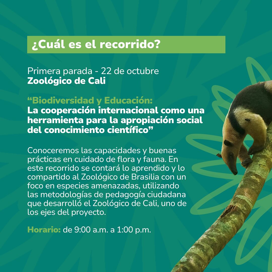 Primera parada Zoológico de Cali