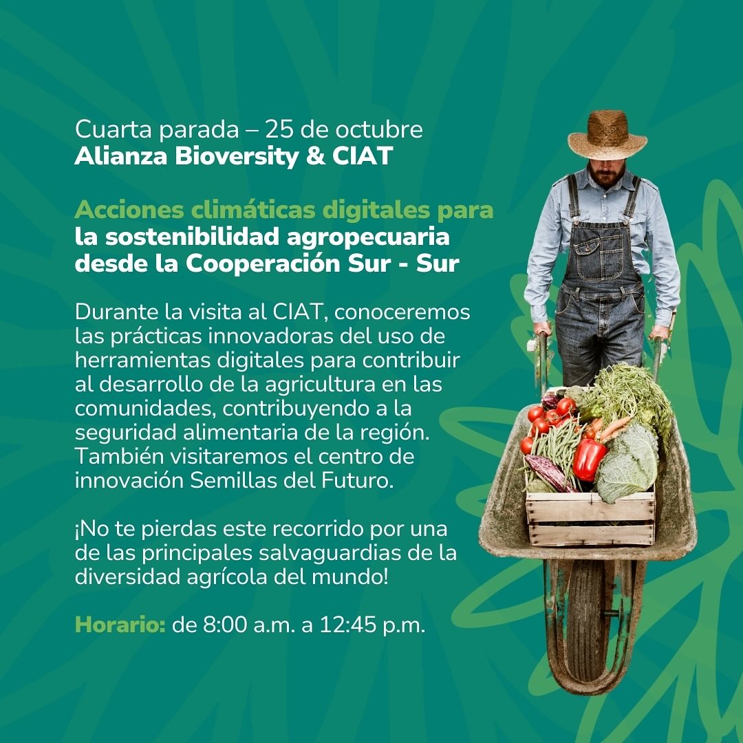 Cuarta parada Aliance Bioversity CIAT