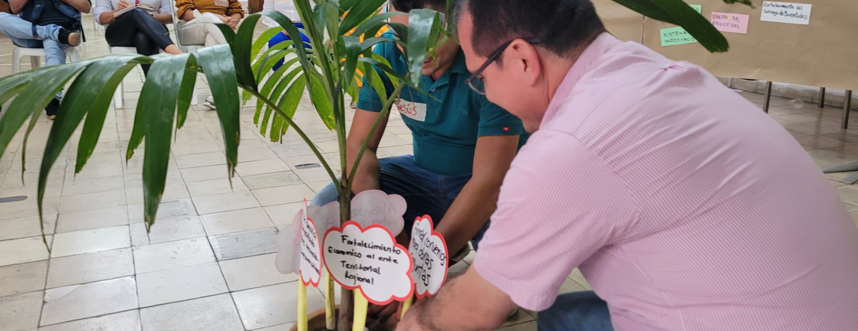 Hombre de camiseta blanca sembrando una planta