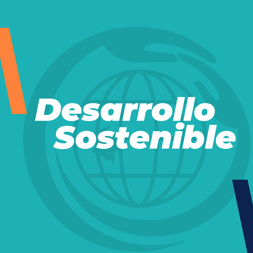 Desarrollo Sostenible