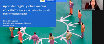 Imagen de la presentación realizada por el Ministerio de salud en el desarrollo del webinar