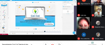 Imagen de pantalla del desarrollo de la reunión