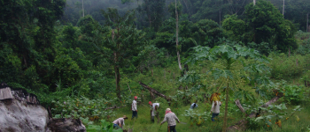 Fotografìa de colonos deforestando en el amazonas