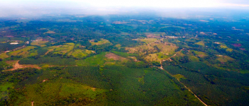Paisaje del Catatumbo