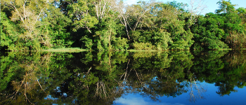 Fotografía de paisaje en el río amazona