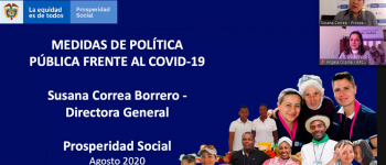 Pantallazo del webinar con el DPS