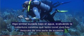 Imagen proyecto Black Crab