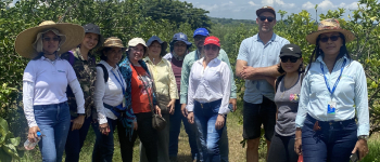 Participantes del proyecto del Mecanismo tripartito