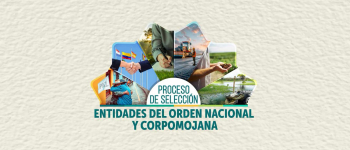 La imagen tiene un fondo blanco con diferentes imágenes y el titulo Proceso de sección Entidades del Orden Nacional