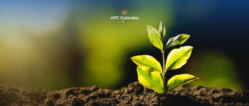 Una planta naciendo del suelo