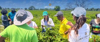 Foto de los participantes del proyecto en un cultivo en Jamaica