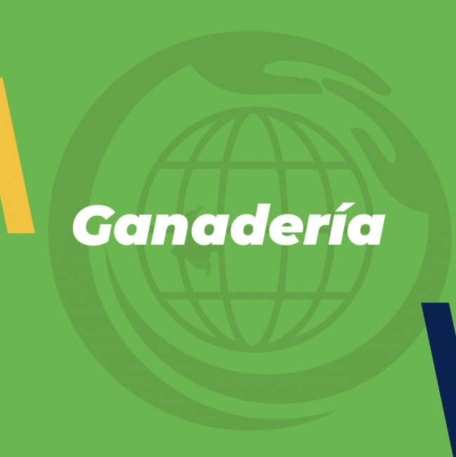 Ganaderia