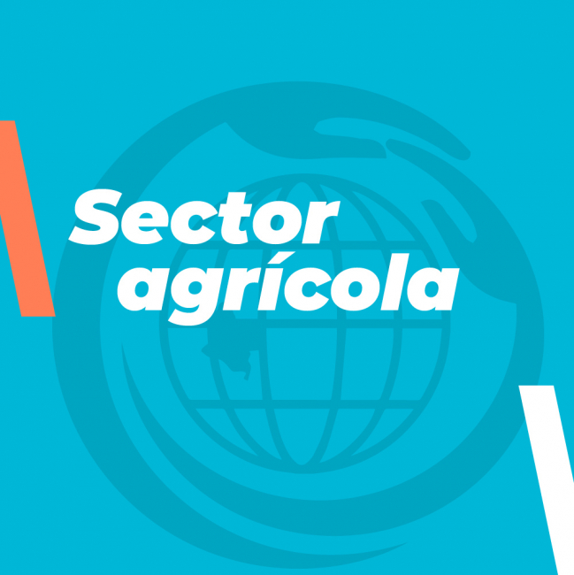 Sector agrícola