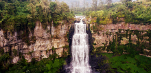 Imagen de cascada con bosque tropical