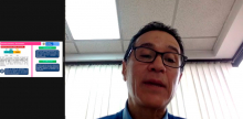 Fotografía de la sesión por Zoom del webinar en Telesalud
