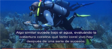 Imagen proyecto Black Crab