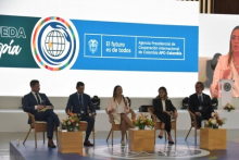 Foto de la directora Viviana Manrique dirigiendo el panel de Panel Competitividad y Cooperación Internacional