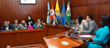 La directora de APC-Colombia presenta ante senadores la labor de APC-Colombia en la Cooperación internacional