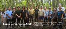 Colombia fortalece la Cooperación Sur-Sur con el curso de Capacitación en Carbono Azul para países ASEAN 