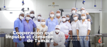 Cooperación internacional impulsa el desarrollo sostenible de la cadena camaronera en Tumaco