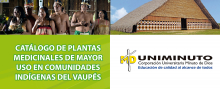 El poder curativo de la naturaleza